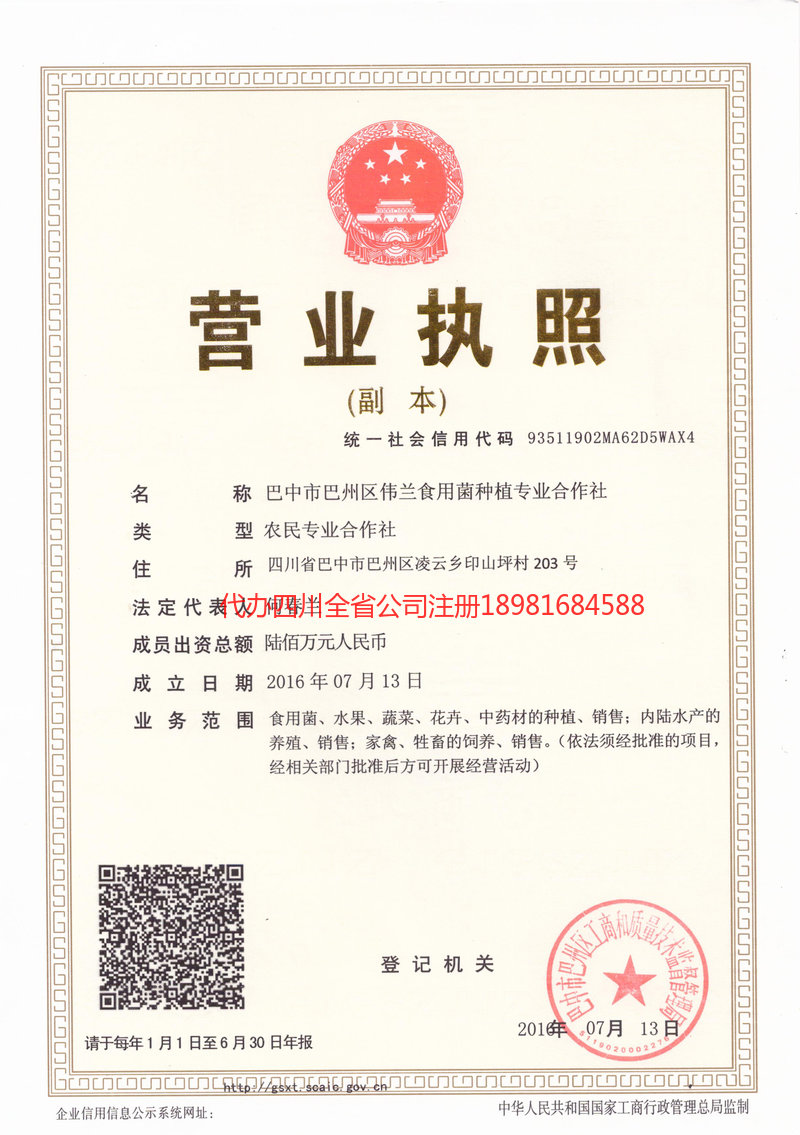 南充市南充市伟兰食用菌种植专业合作社